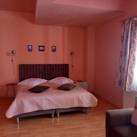 Pensiunea Vila Dana Cluj Napoca Bagian luar foto