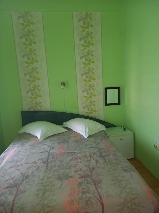 Pensiunea Vila Dana Cluj Napoca Bagian luar foto