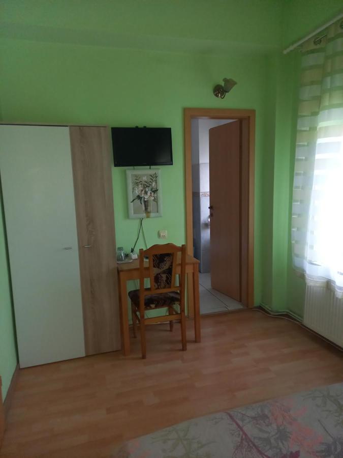 Pensiunea Vila Dana Cluj Napoca Bagian luar foto