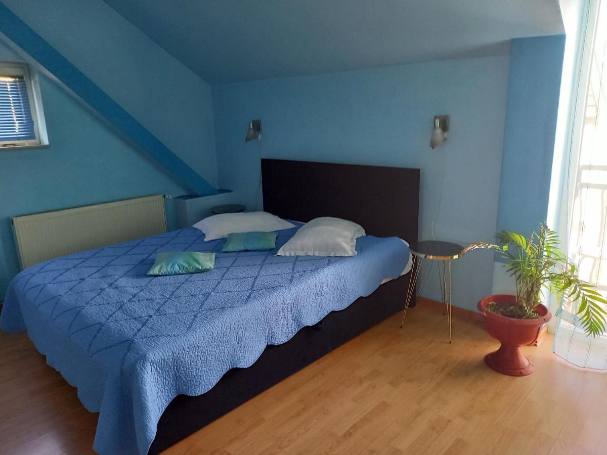 Pensiunea Vila Dana Cluj Napoca Bagian luar foto