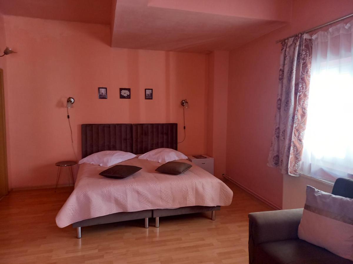 Pensiunea Vila Dana Cluj Napoca Bagian luar foto