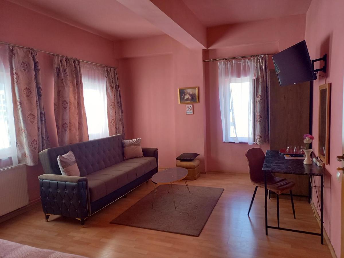 Pensiunea Vila Dana Cluj Napoca Bagian luar foto