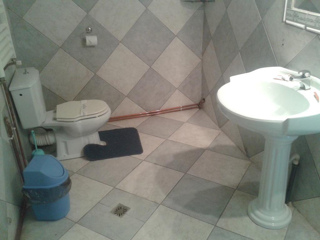 Pensiunea Vila Dana Cluj Napoca Ruang foto